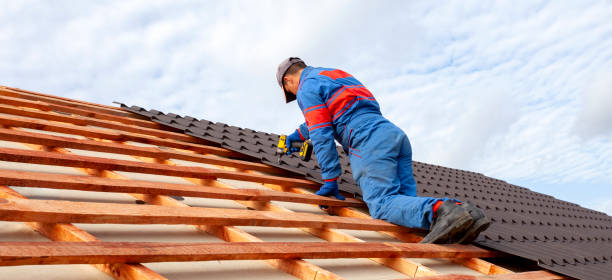 Best Roof Leak Repair  in Colfax, LA